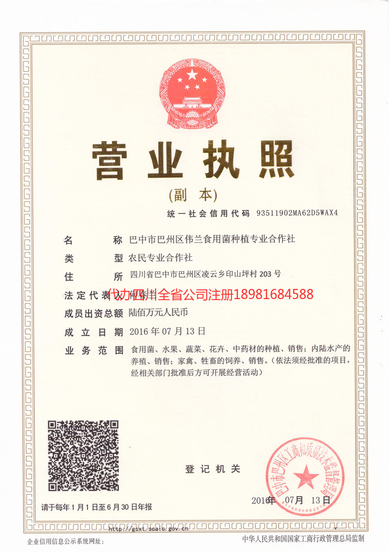 淮北淮北伟兰食用菌种植专业合作社